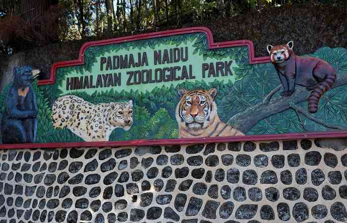 Padmaja Naidu Himalayan Zoo
